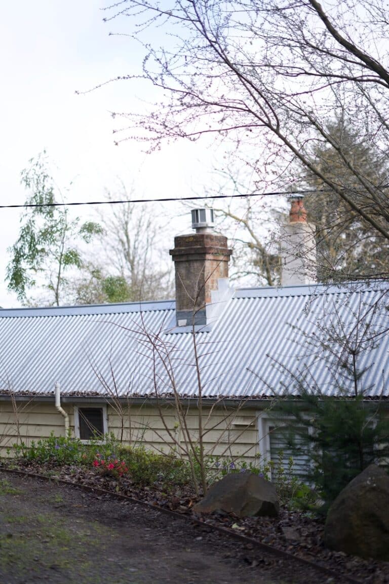A house with chimneys and a metal roof.